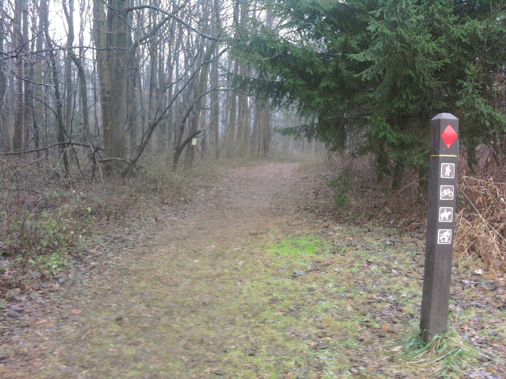 Hibernia Trail